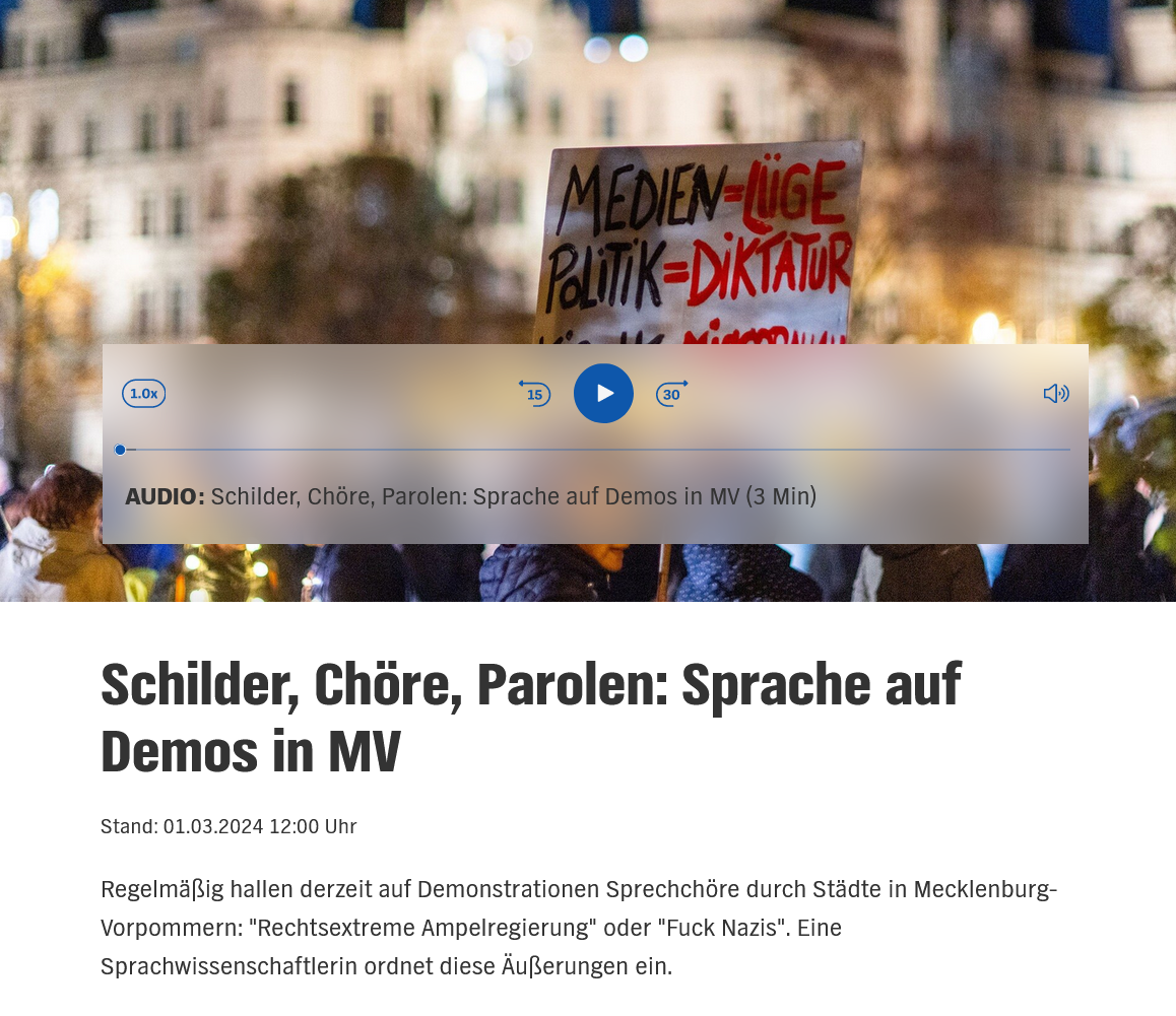 NDR-Interview mit Priv.-Doz. Dr. Martha Kuhnhenn zum Thema "Sprache auf Demonstrationen"