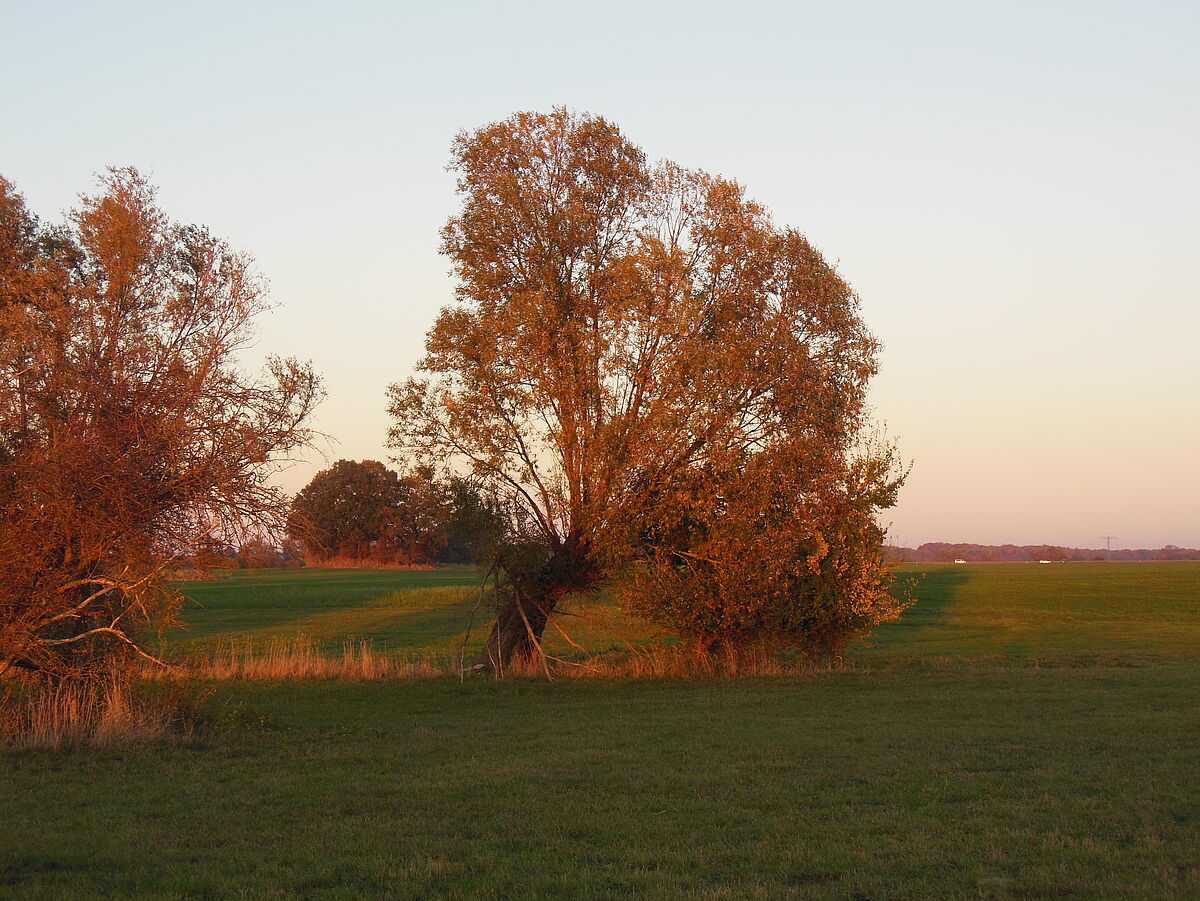 Urlaub Sekretariat Kommunikationswissenschaft: Freitag, 21.11.2025