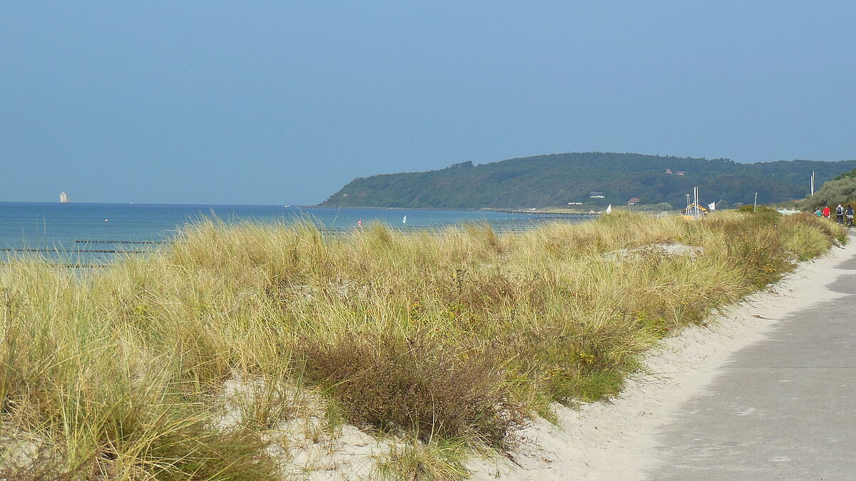 Urlaub Sekretariat KoWi: Do/Fr, 23./24. Juli 2026