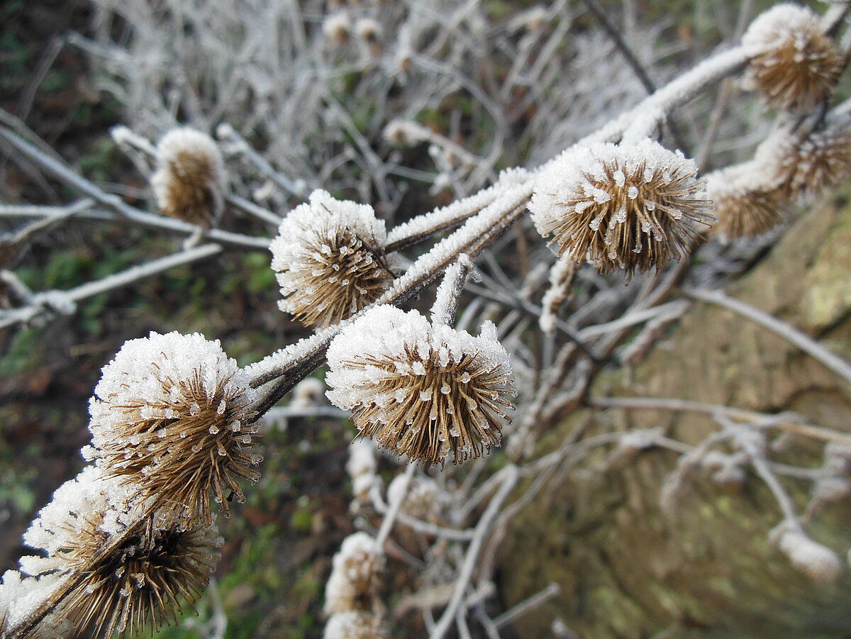 ->  Urlaub Sekretariate  <-  KoWi: 23.12.2026-02.01.2027 PoWi: 29.12.2026-02.01.2027